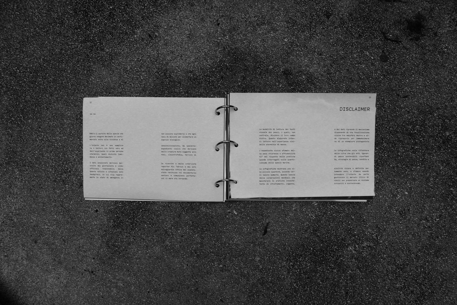 RSN - Detail